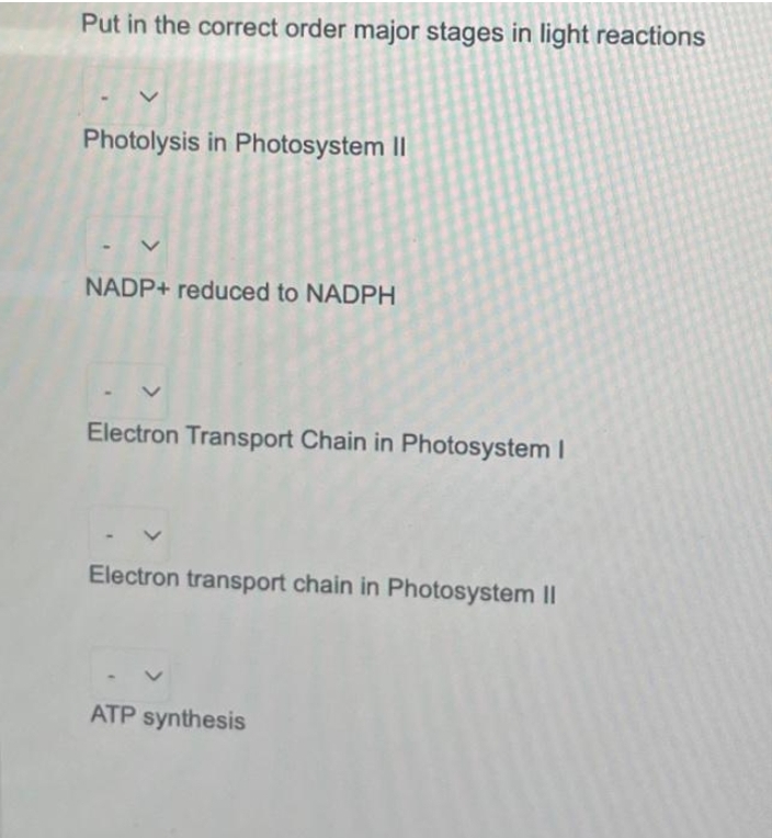 Put in the correct order major stages in light reactions
Photolysis in Photosystem II
NADP+ reduced to NADPH
Electron Transport Chain in Photosystem I
Electron transport chain in Photosystem II
ATP synthesis