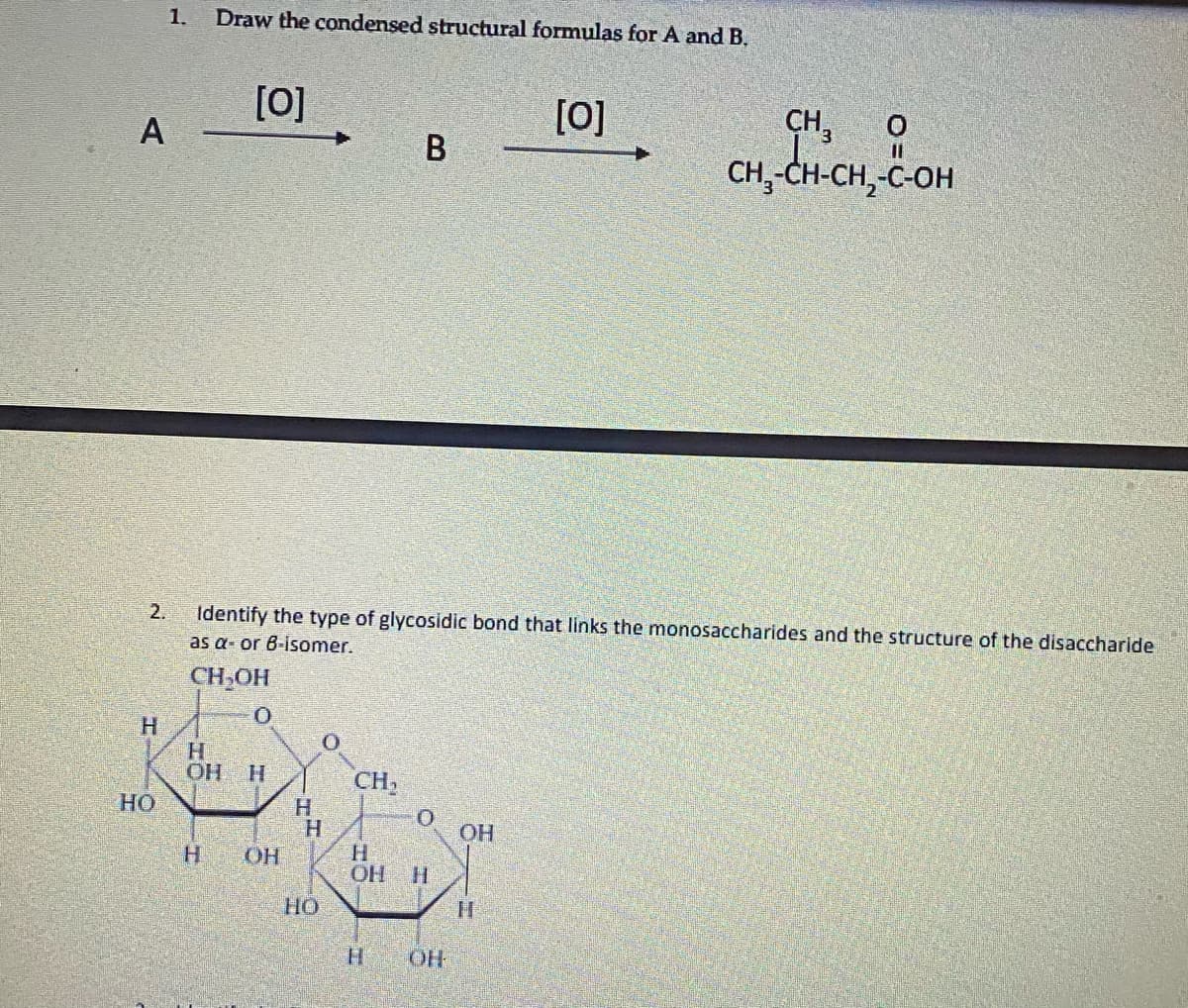 1.
Draw the condensed structural formulas for A and B.
[0]
[0]
CH,
CH, CH-CH, C-OH
А
B
2.
Identify the type of glycosidic bond that links the monosaccharides and the structure of the disaccharide
as a- or 8-isomer.
CH-OH
H.
H
OH
H.
CH,
HO
OH
H.
H.
ОН Н
OH
HO
H.
OH
A,
