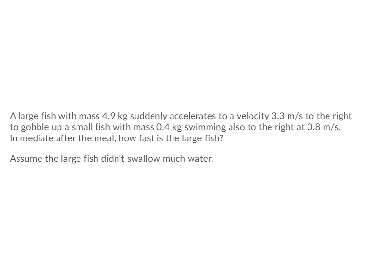 A large fish with mass 4.9 kg suddenly accelerates to a velocity 3.3 m/s to the right
to gobble up a small fish with mass 0.4 kg swimming also to the right at 0.8 m/s.
Immediate after the meal, how fast is the large fish?
Assume the large fish didn't swallow much water.
