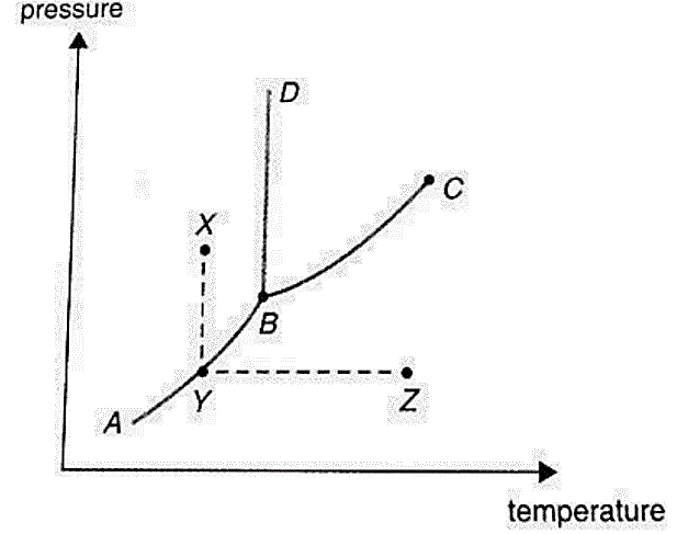 pressure
D
C
B.
Y
А
temperature
