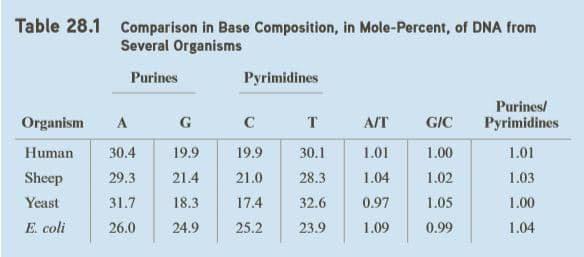 Table 28.1 comparison in Base Composition, in Mole-Percent, of DNA from
Several Organisms
Purines
Pyrimidines
Purines/
Pyrimidines
Organism
A
G
C
A/T
G/C
Human
30.4
19.9
19.9
30.1
1.01
1.00
1.01
Sheep
29.3
21.4
21.0
28.3
1.04
1.02
1.03
Yeast
31.7
18.3
17.4
32.6
0.97
1.05
1.00
E. coli
26.0
24.9
25.2
23.9
1.09
0.99
1.04
