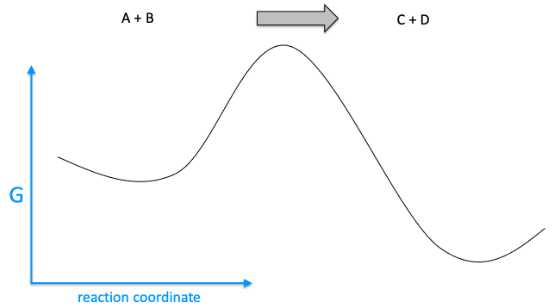 G
A + B
reaction coordinate
C+D