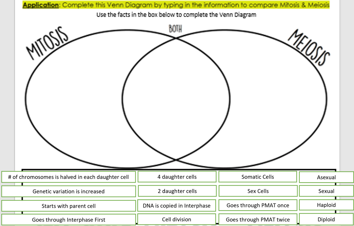 Application: Complete this Venn Diagram by typing in the information to compare Mitosis & Meiosis
Use the facts in the box below to complete the Venn Diagram
BOTH
MEIOSIS
MITOSIS
# of chromosomes is halved in each daughter cell
4 daughter cells
Somatic Cells
Asexual
Genetic variation is increased
2 daughter cells
Sex Cells
Sexual
Starts with parent cell
DNA is copied in Interphase
Goes through PMAT once
Нaploid
Goes through Interphase First
Cell division
Goes through PMAT twice
Diploid
