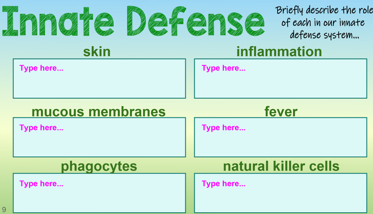 Innate Defense
Briefly describe the role
of each in our innate
defense system..
skin
inflammation
Турe here...
Type here...
mucous membranes
fever
Type here...
Турe here...
phagocytes
natural killer cells
Type here...
Type here...
