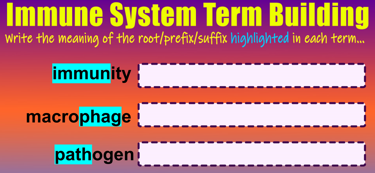 Immune System Term Building
Write the meaning of the root/prefix/suffix highlighted in each term..
immunity
macrophage
pathogen

