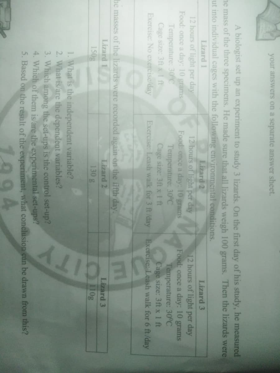 your answers on a separate answer sheet.
A biologist set up an experiment to study 3 lizards. On the first day of his study, he measured
he mass of the three specimens. He made sure that all lizards weigh 100 grams. Then the lizards were
ut into individual cages with the following environmental conditions.
Lizard 2
12 hours of light per day
Food: once a day: 10 grams
Temperature: 30°C
Cage size: 3ft x1 ft
Exercise: Leash walk for 3 ft /day
Lizard 1
Lizard 3
12 hours of light per day
Food: once a day: 10 grams
12 hours of light per day
Food: once a day: 10 grams
Temperature: 30C
Cage size: 3ft x1ft
Exercise: No exercise/day
Temperature: 30°C
Cage size: 3ft x1 ft
Exercise: Leash walk for 6 ft /day
he masses of the lizards were recorded again on the fifth day.
Lizard 1
150g
Lizard 3
Lizard 2
130 g
110g
1. What is the independent variable?
2. What is/are the dependent variables?
3. Which among the set-ups is the control set-up?
4. Which of them is/are the experimental set-ups?
5. Based on the result of the experiment, what conclusion can be drawn from this?
1994
