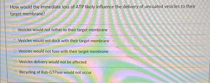 How would the immediate loss of ATP likely influence the delivery of uncoated vesicles to their
target membrane?
Vesicles would not tether to their target membrane
Vesicles would not dock with their target membrane
Vesicles would not fuse with their target membrane
Vesicles delivery would not be affected
Recycling of Rab-GTPase would not occur