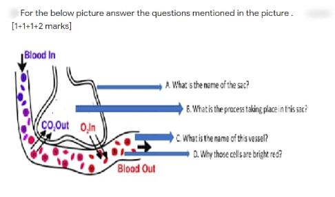 For the below picture answer the questions mentioned in the picture.
[1+1+1+2 marks)]
Blood In
A. What s the name of the sac?
E. Whatis the pracess aking pace in this sac?
co.out on
C What is the name of this vessel?
D. Why those el ae bright res?
Blood Out
