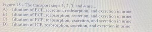 Figure 15 - The transport steps 1, 2, 3, and 4 are...
A) filtration of ECF, secretion, reabsorption, and excretion in urine
B) filtration of ECF, reabsorption, secretion, and excretion in urine
filtration of ECF, reabsorption, excretion, and secretion in urine
filtration of ICF, reabsorption, secretion, and excretion in urine
C)
D)