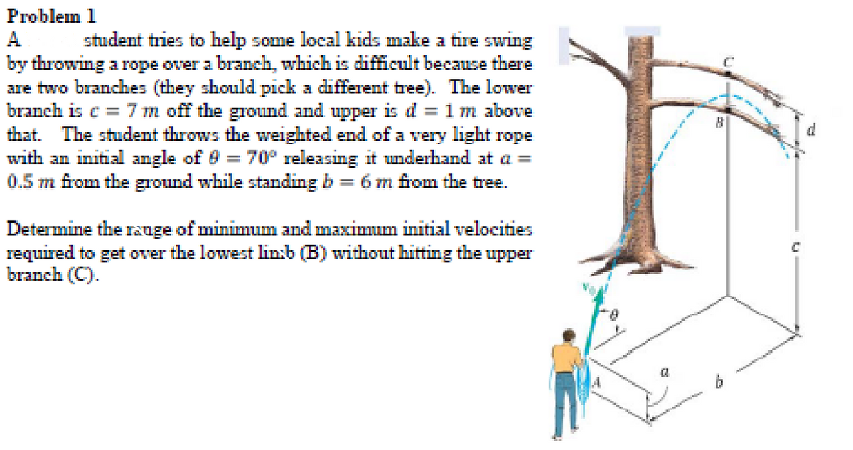 Problem 1
student tries to help some local kids make a tire swing
by throwing a rope over a branch, which is difficult because there
are two branches (they should pick a different tree). The lower
1 m above
that. The student throws the weighted end ofa very light rope
with an initial angle of 0 = 70° releasing it underhand at a =
6 m from the tree.
A
branch is e = 7 m off the ground and upper is d
0.5 m from the ground while standing b
Determine the INuge of minimum and maximm initial velocities
required to get over the lowest lin:b (B) without hitting the upper
branch (C).
