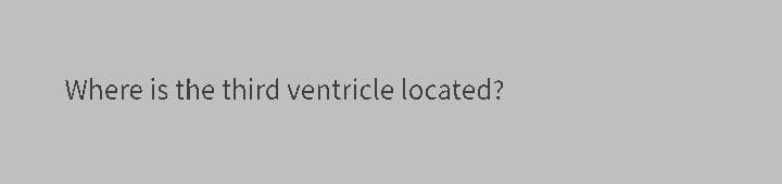 Where is the third ventricle located?
