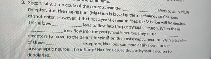 time.
3. Specifically, a molecule of the neurotransmitter
receptor. But, the magnesium (Mg+) ion is blocking the ion channel, so Ca+ ions
cannot enter. However, if that postsynaptic neuron fires, the Mg+ ion will be ejected.
binds to an NMDA
This allows
ions to flow into the postsynaptic neuron. When these
ions flow into the postsynaptic neuron, they cause
receptors to move to the dendritic spines on the postsynaptic neurons. With a surplus
of these
receptors, Na+ ions can more easily flow into the
postsynaptic neuron. The influx of Na+ ions cause the postsynaptic neuron to
depolarize.
