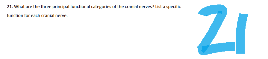 21. What are the three principal functional categories of the cranial nerves? List a specific
function for each cranial nerve.
21