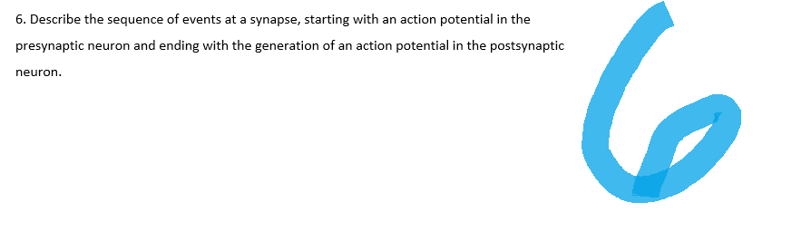 6. Describe the sequence of events at a synapse, starting with an action potential in the
presynaptic neuron and ending with the generation of an action potential in the postsynaptic
neuron.
6
