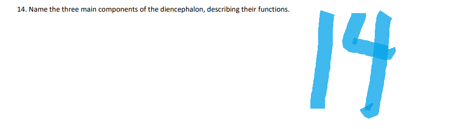14. Name the three main components of the diencephalon, describing their functions.
14