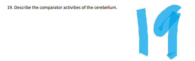 19. Describe the comparator activities of the cerebellum.
19
