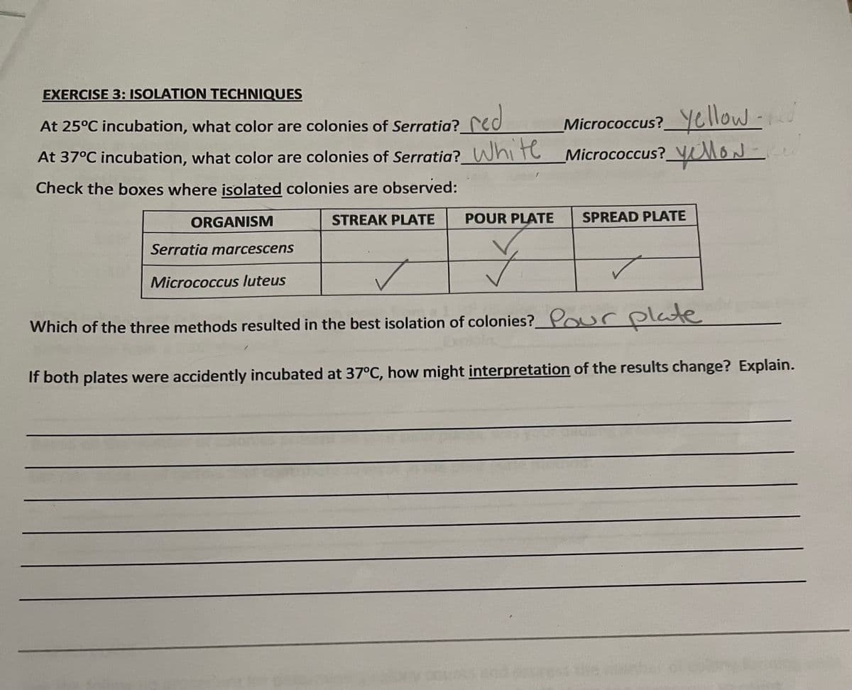 EXERCISE 3: ISOLATION TECHNIQUES
At 25°C incubation, what color are colonies of Serratia?_red
At 37°C incubation, what color are colonies of Serratia? White
Check the boxes where isolated colonies are observed:
STREAK PLATE
ORGANISM
Micrococcus? Yellow-d
Micrococcus?.
? Yellow-
POUR PLATE
✓
Which of the three methods resulted in the best isolation of colonies? Pour plate
If both plates were accidently incubated at 37°C, how might interpretation of the results change? Explain.
Serratia marcescens
Micrococcus luteus
SPREAD PLATE