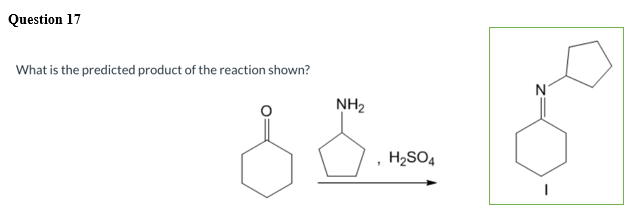 Question 17
What is the predicted product of the reaction shown?
N
NH2
H2SO4
