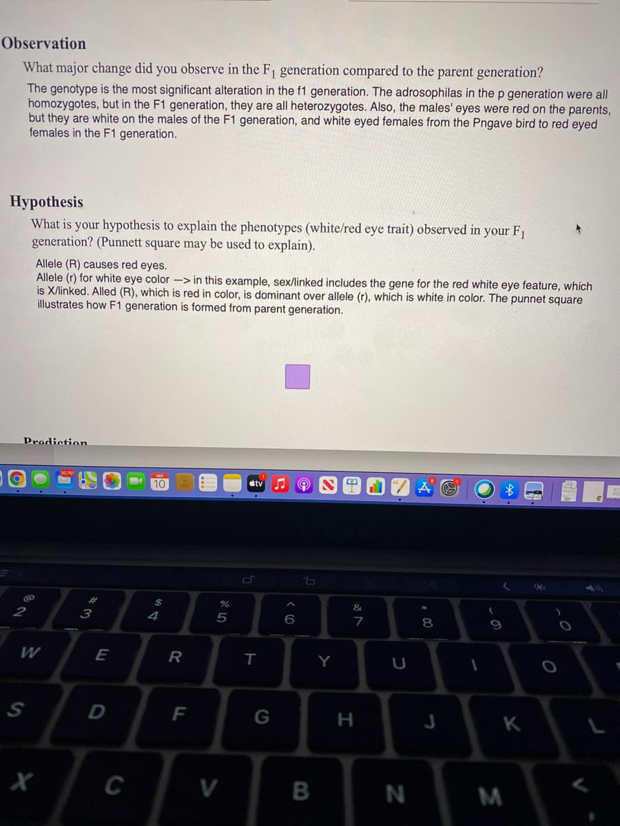 Observation
What major change did you observe in the F1 generation compared to the parent generation?
The genotype is the most significant alteration in the f1 generation. The adrosophilas in the p generation were all
homozygotes, but in the F1 generation, they are all heterozygotes. Also, the males' eyes were red on the parents,
but they are white on the males of the F1 generation, and white eyed females from the Pngave bird to red eyed
females in the F1 generation.
Hypothesis
What is your hypothesis to explain the phenotypes (white/red eye trait) observed in
generation? (Punnett square may be used to explain).
your F1
Allele (R) causes red eyes.
Allele (r) for white eye color -> in this example, sex/linked includes the gene for the red white eye feature, which
is X/linked. Alled (R), which is red in color, is dominant over allele (r), which is white in color. The punnet square
illustrates how F1 generation is formed from parent generation.
Prediction
10
tv
23
&
3
4
5
7
8
W
E
R
Y
S
D
F
G
H.
K
C
V
M
