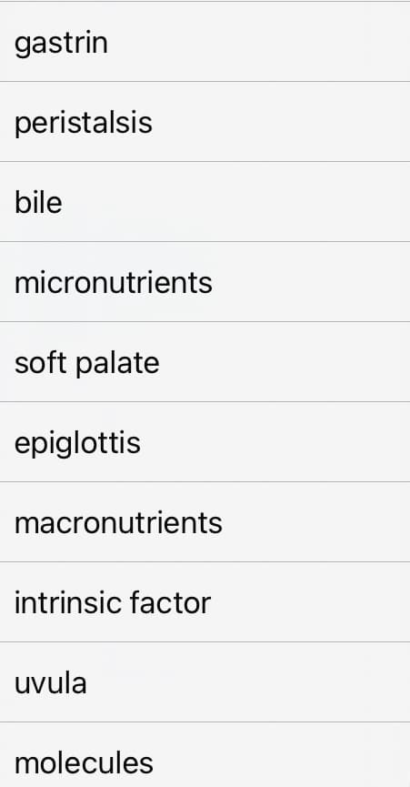 gastrin
peristalsis
bile
micronutrients
soft palate
epiglottis
macronutrients
intrinsic factor
uvula
molecules
