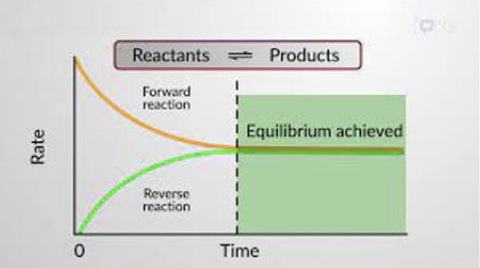 Reactants
Products
Forward
reaction
Equilibrium achieved
Reverse
reaction
Time
Rate
