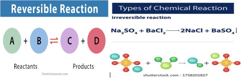Reversible Reaction
Types of Chemical Reaction
irreversible reaction
Na,so, + BaCI,
2NaCI + BaSO̟l
A + B = C + D
Na
Na
Reactants
Products
Ba
Na
Chemistrylearner.com
shutterstock.com· 1758201827

