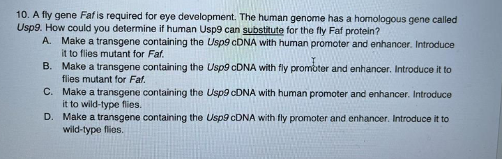 10. A fly gene Faf is required for eye development. The human genome has a homologous gene called
Usp9. How could you determine if human Usp9 can substitute for the fly Faf protein?
A. Make a transgene containing the Usp9 CDNA with human promoter and enhancer. Introduce
it to flies mutant for Faf.
B. Make a transgene containing the Usp9 CDNA with fly promoter and enhancer. Introduce it to
flies mutant for Faf.
C. Make a transgene containing the Usp9 CDNA with human promoter and enhancer. Introduce
it to wild-type flies.
D. Make a transgene containing the Usp9 CDNA with fly promoter and enhancer. Introduce it to
wild-type flies.
