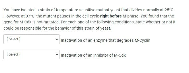 You have isolated a strain of temperature-sensitive mutant yeast that divides normally at 25°C.
However, at 37°C, the mutant pauses in the cell cycle right before M phase. You found that the
gene for M-Cdk is not mutated. For each one of the following conditions, state whether or not it
could be responsible for the behavior of this strain of yeast.
[Select]
Inactivation of an enzyme that degrades M-Cyclin
[Select]
Inactivation of an inhibitor of M-Cdk