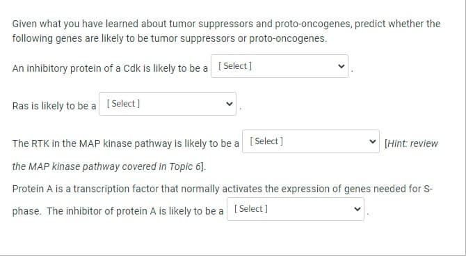 Given what you have learned about tumor suppressors and proto-oncogenes, predict whether the
following genes are likely to be tumor suppressors or proto-oncogenes.
An inhibitory protein of a Cdk is likely to be a [Select]
Ras is likely to be a [Select]
The RTK in the MAP kinase pathway is likely to be a [Select]
the MAP kinase pathway covered in Topic 6].
Protein A is a transcription factor that normally activates the expression of genes needed for S-
phase. The inhibitor of protein A is likely to be a [Select]
✓ [Hint: review