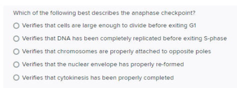 Which of the following best describes the anaphase checkpoint?
O Verifies that cells are large enough to divide before exiting G1
O Verifies that DNA has been completely replicated before exiting S-phase
Verifies that chromosomes are properly attached to opposite poles
O Verifies that the nuclear envelope has properly re-formed
O verifies that cytokinesis has been properly completed
