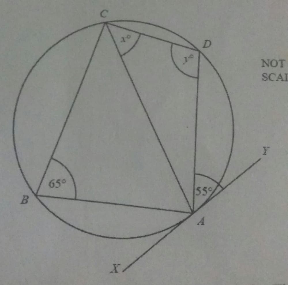 20
D
NOT
SCAL
650
559
A
