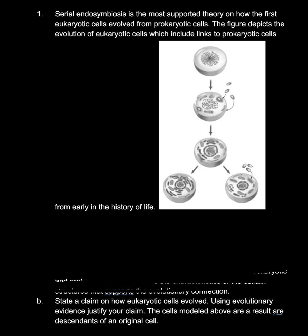 1.
Serial endosymbiosis is the most supported theory on how the first
eukaryotic cells evolved from prokaryotic cells. The figure depicts the
evolution of eukaryotic cells which include links to prokaryotic cells
from early in the history of life.
and prl--
.. urai y cuiiection.
b.
State a claim on how eukaryotic cells evolved. Using evolutionary
evidence justify your claim. The cells modeled above are a result are
descendants of an original cell.
