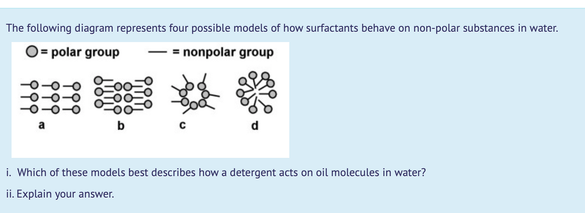 The following diagram represents four possible models of how surfactants behave on non-polar substances in water.
O= polar group
= nonpolar group
-
a
b
d
i. Which of these models best describes howa detergent acts on oil molecules in water?
ii. Explain your answer.
