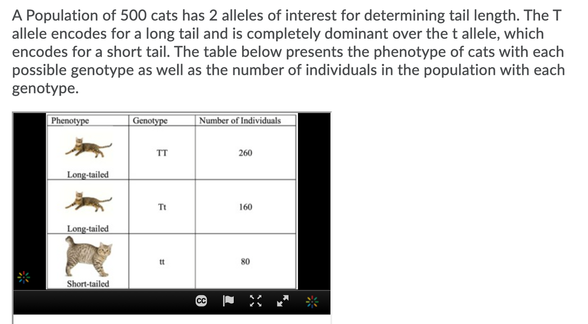 A Population of 500 cats has 2 alleles of interest for determining tail length. The T
allele encodes for a long tail and is completely dominant over the t allele, which
encodes for a short tail. The table below presents the phenotype of cats with each
possible genotype as well as the number of individuals in the population with each
genotype.
Phenotype
Genotype
|Number of Individuals
TT
260
Long-tailed
Tt
160
Long-tailed
tt
80
Short-tailed
CC

