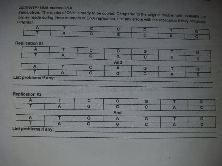 ACTIVITY: DNA makes DNA
Instruction: The model of DNA is ready to be copied, Compared to the original double helix, evaluate the
copies made during three attempts of DNA replication. List any errors with the replication if they occurred:
Original
A
T
A
C2
Replication #1
C
C
G
C.
And
A
T
T
G
List problems If any:
Replication #2
C
A
And
G
T
A
G
List problems If any:
TA
TA
AG
AG
AT
