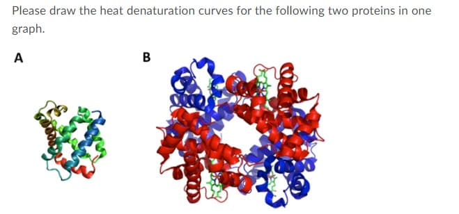 Please draw the heat denaturation curves for the following two proteins in one
graph.
A
B
