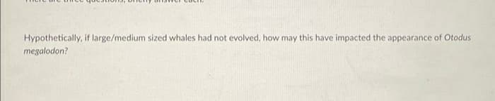 Hypothetically, if large/medium sized whales had not evolved, how may this have impacted the appearance of Otodus
megalodon?