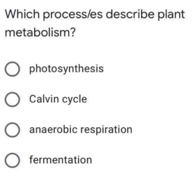 Which process/es describe plant
metabolism?
photosynthesis
Calvin cycle
O anaerobic respiration
fermentation
оооо