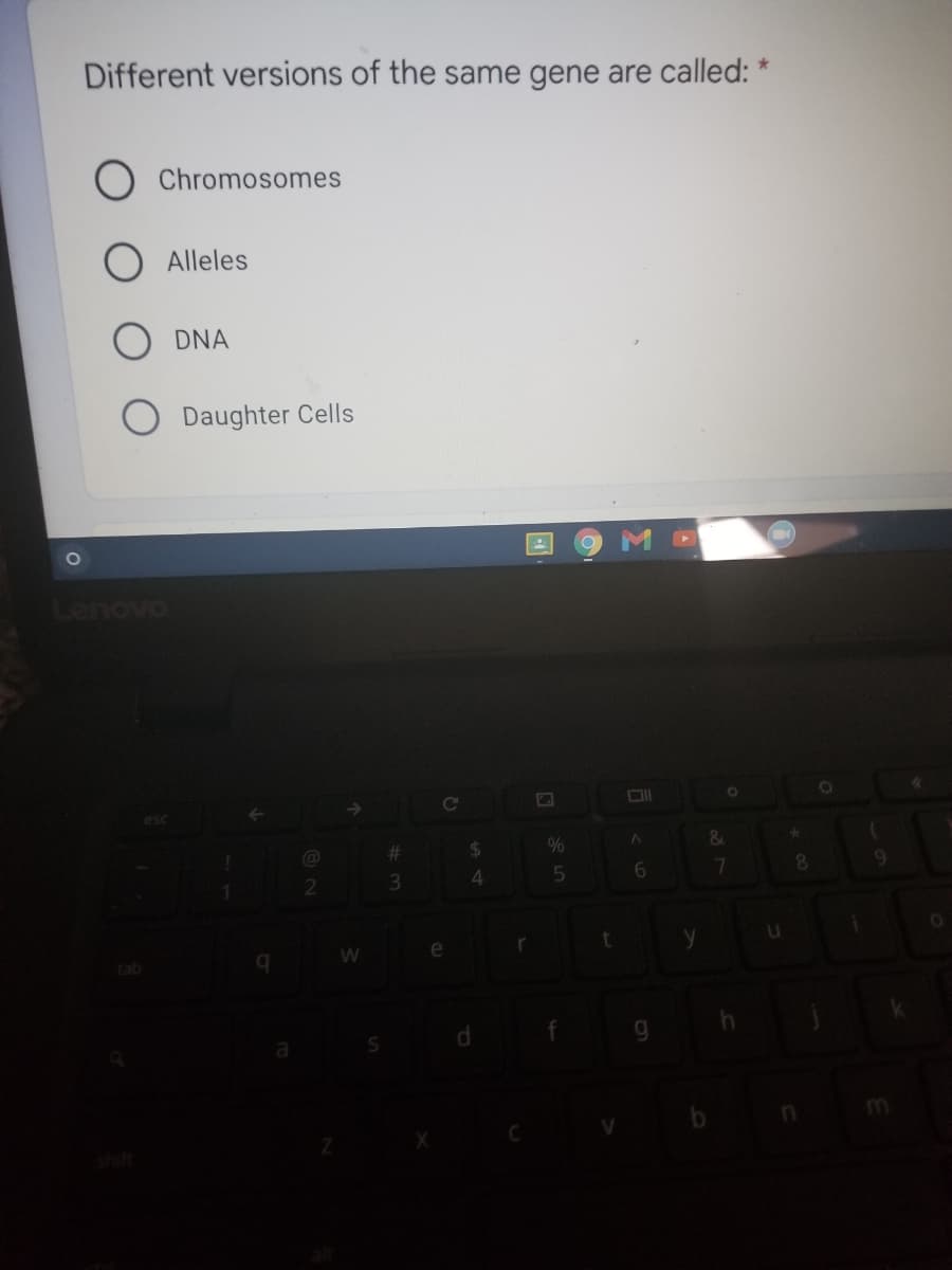 Different versions of the same gene are called: *
O Chromosomes
Alleles
DNA
Daughter Cells
O
Lenovo
%
%23
7.
3\
4.
