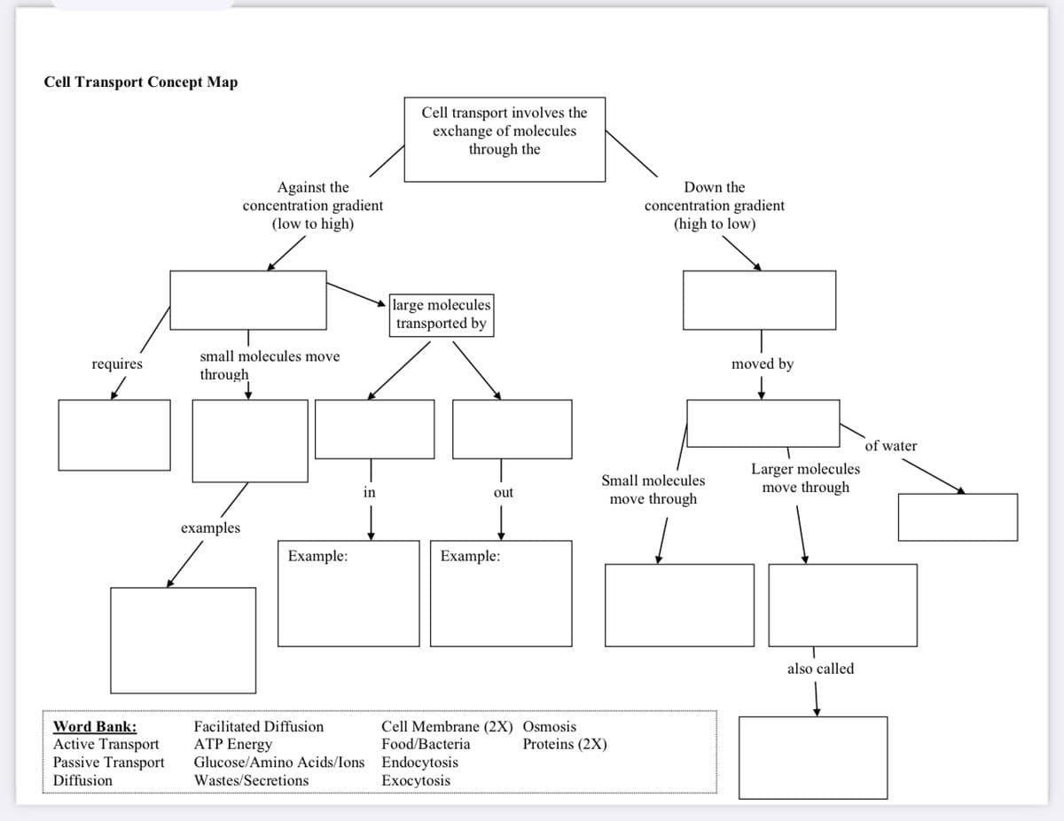 Cell Transport Concept Map
requires
Word Bank:
Active Transport
Passive Transport
Diffusion
Against the
concentration gradient
(low to high)
small molecules move
through
examples
Example:
in
Facilitated Diffusion
ATP Energy
Glucose/Amino Acids/Ions
Wastes/Secretions
Cell transport involves the
exchange of molecules
through the
large molecules
transported by
out
Example:
Cell Membrane (2X) Osmosis
Food/Bacteria
Endocytosis
Exocytosis
Down the
concentration gradient
(high to low)
Small molecules
move through
Proteins (2X)
moved by
Larger molecules
move through
also called
of water