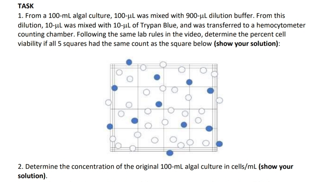 TASK
1. From a 100-mL algal culture, 100-μL was mixed with 900-μL dilution buffer. From this
dilution, 10-μL was mixed with 10-μL of Trypan Blue, and was transferred to a hemocytometer
counting chamber. Following the same lab rules in the video, determine the percent cell
viability if all 5 squares had the same count as the square below (show your solution):
8
2. Determine the concentration of the original 100-mL algal culture in cells/mL (show your
solution).