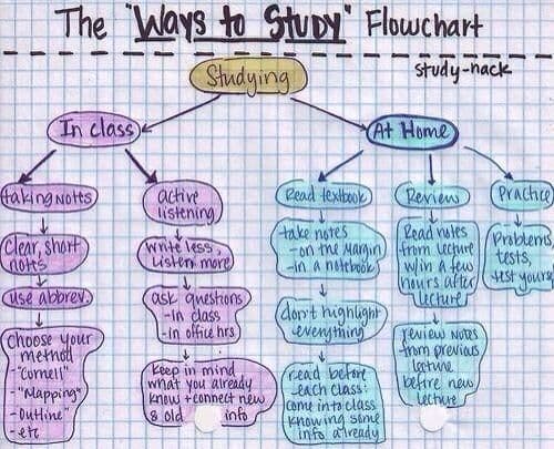 The Ways to StuDY" Flowchart
Chadying
study-nack
In class
At Home
taking Notts
active
listening
PRnd lexta (Reven) (Prachice)
take notes
on the Margin) from lecfure
in a notebook wlin a few
Read nutes
Clear, short
notts
wnite less,
usten more)
Problems,
tests,
nours after/Hst yourg
Use abbrev
ask questions
-In class
in office hrs)
uchures
(dort hignight
everytming
choose your
metnol
"Conell"
"Mapping
outine"
Reep in mind
what you aiready
know +eonnect new
info
read before
each class
Come into class
Khowing seme
Info atready
review Notes
from previaus
latine
beftre new
Lechures
8 old
