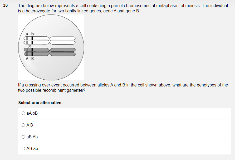 36
The diagram below represents a cell containing a pair of chromosomes at metaphase I of meiosis. The individual
is a heterozygote for two tightly linked genes, gene A and gene B.
a b
A B
If a crossing over event occurred between alleles A and B in the cell shown above, what are the genotypes of the
two possible recombinant gametes?
Select one alternative:
O aA bB
O AB
аB Ab
O AB ab
