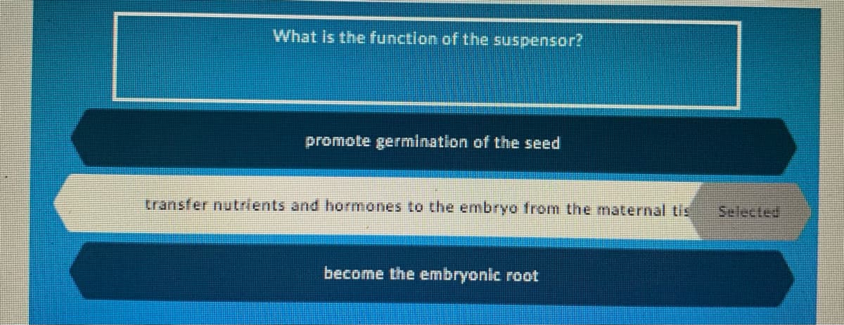 What is the function of the suspensor?2
promote germination of the seed
transfer nutrients and hormones to the embryo from the maternal tis
Selected
become the embryonic root

