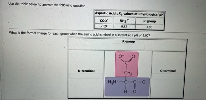 Use the table below to answer the following question:
Aspartic Acid pka values at Physiological pH
Co0
NH3+
R-group
2.09
9.82
3.86
What is the formal charge for each group when the amino acid is mixed in a solvent at a pH of 1.60?
R-group
N-terminal
C-terminal
CH2
H,N*-C-C-o-
%3D
H O
