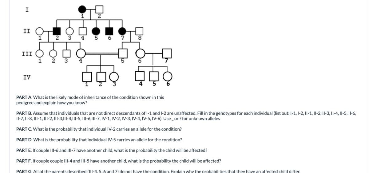 II O
5 6
III O
IV
4
PART A. What is the likely mode of inheritance of the condition shown in this
pedigree and explain how you know?
PART B. Assume that individuals that are not direct descendants of l-1 and I-2 are unaffected. Fill in the genotypes for each individual (list out: I-1, I-2, Il-1, Il-2, II-3, Il-4, Il-5, Il-6,
IlI-7, Il-8, III-1, III-2, III-3,1II-4,1II-5, III-6,1II-7, IV-1, IV-2, IV-3, IV-4, IV-5, IV-6). Use_or ? for unknown alleles
PART C. What is the probability that individual IV-2 carries an allele for the condition?
PART D. What is the probability that individual IV-5 carries an allele for the condition?
PART E. If couple III-6 and III-7 have another child, what is the probability the child will be affected?
PART F. If couple couple III-4 and III-5 have another child, what is the probability the child will be affected?
PART G. All of the parents described (II-4, 5..6 and 7) do not have the condition. Explain why the probabilities that they have an affected child differ.
