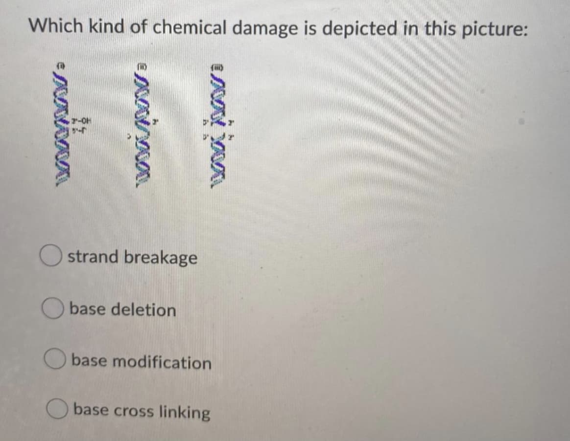 Which kind of chemical damage is depicted in this picture:
2-OH
O strand breakage
O base deletion
base modification
base cross linking
