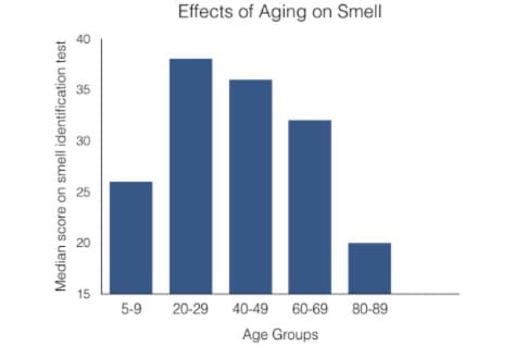 Effects of Aging on Smell
40
35
30
25
20
15
5-9
20-29
40-49
60-69 80-89
Age Groups
Median score on smell identification test
