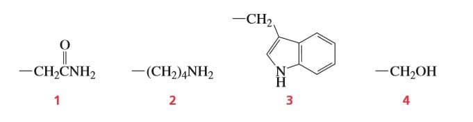 -CH2
-CH2ČNH2
-(CH2)4NH2
— СH-ОН
Н
4
3.
