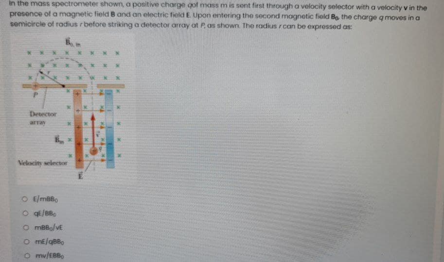 In the mass spectrometer shown, a positive charge got mass m is sent first through a velocity selector with a velocity v in the
presence of a magnetic field B and an electric field E. Upon entering the second magnetic field Bo, the charge q moves in a
semicircle of radius rbefore striking a detector array at P, as shown. The radius rcan be expressed as:
Bo, im
X X X x x x XN
X X X
Detector
array
Velocity selector
O E/mBB,
O qE/BBo
O mBBo/VE
O mE/QBB,
O mv/EBB0

